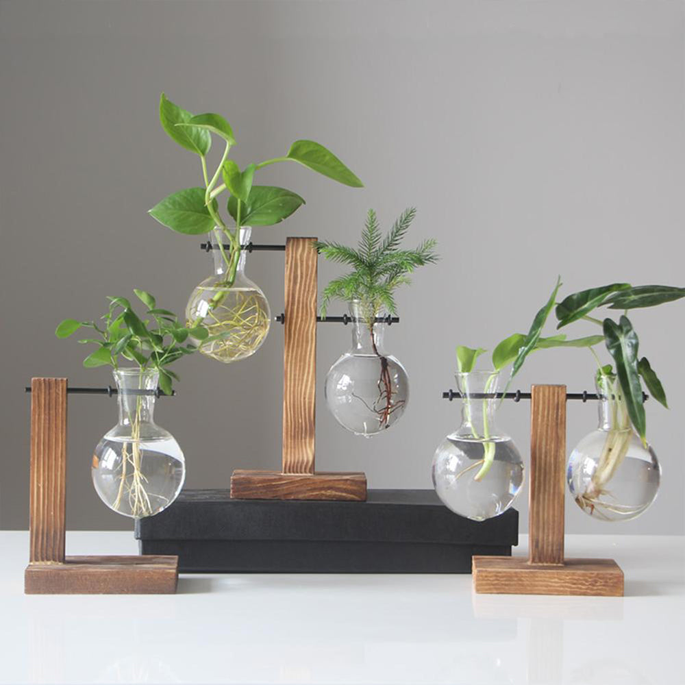 Creative Glass Bulb Planter Vase with Wooden Stand – Hydroponic Tabletop Decor
