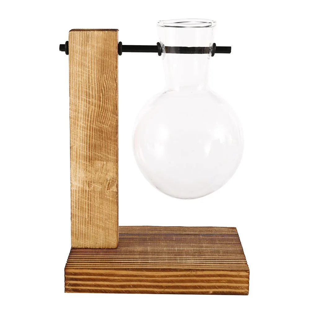 Creative Glass Bulb Planter Vase with Wooden Stand – Hydroponic Tabletop Decor