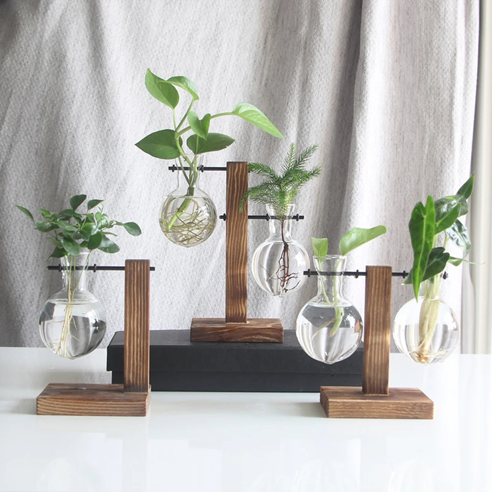 Creative Glass Bulb Planter Vase with Wooden Stand – Hydroponic Tabletop Decor