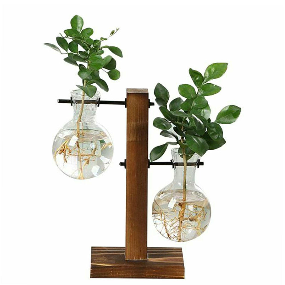 Creative Glass Bulb Planter Vase with Wooden Stand – Hydroponic Tabletop Decor