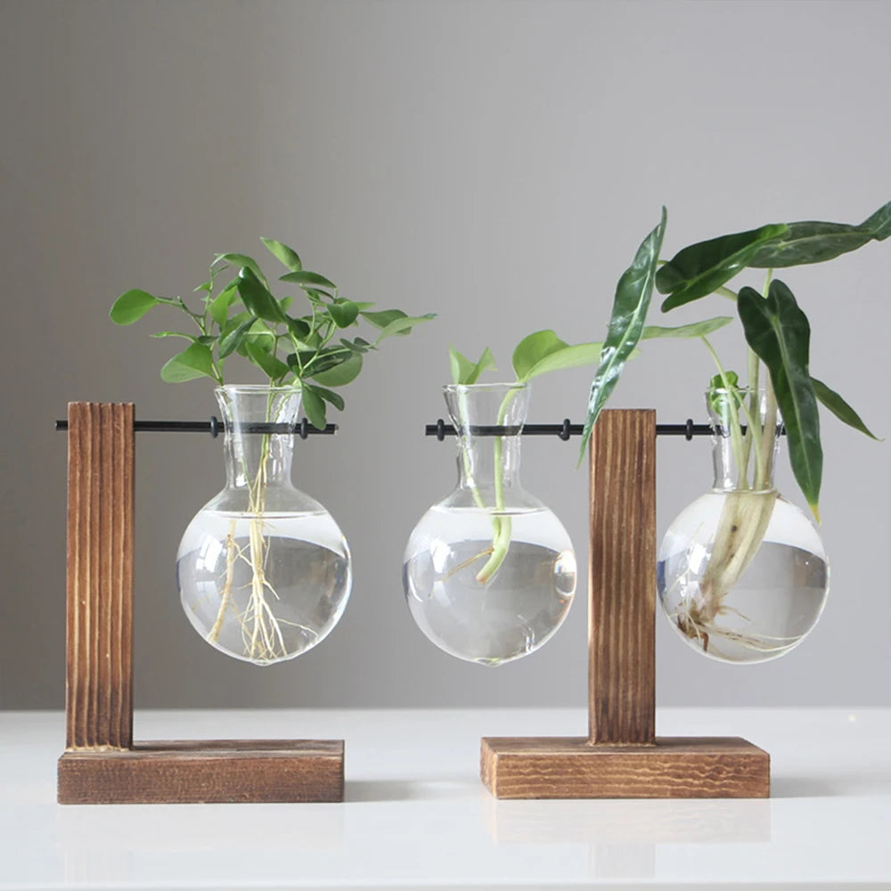Creative Glass Bulb Planter Vase with Wooden Stand – Hydroponic Tabletop Decor