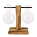 Creative Glass Bulb Planter Vase with Wooden Stand – Hydroponic Tabletop Decor