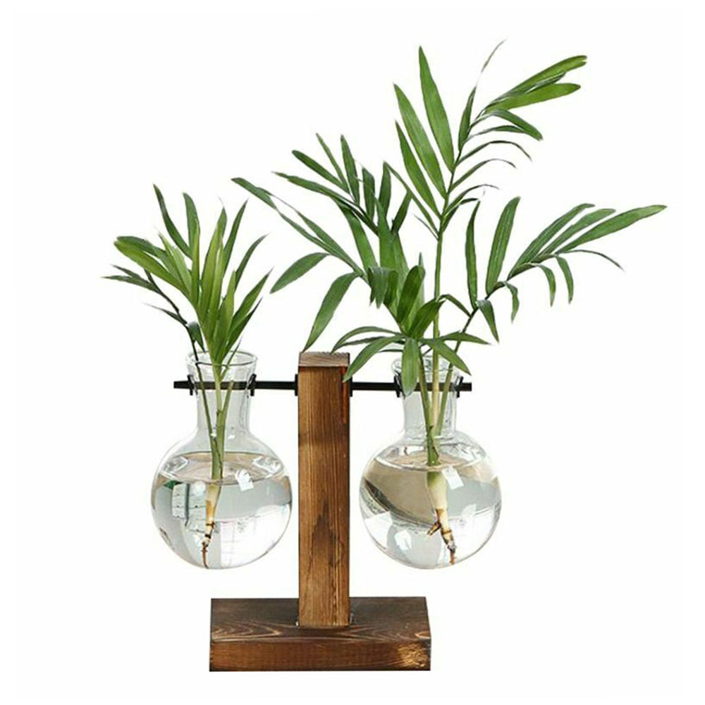Creative Glass Bulb Planter Vase with Wooden Stand – Hydroponic Tabletop Decor
