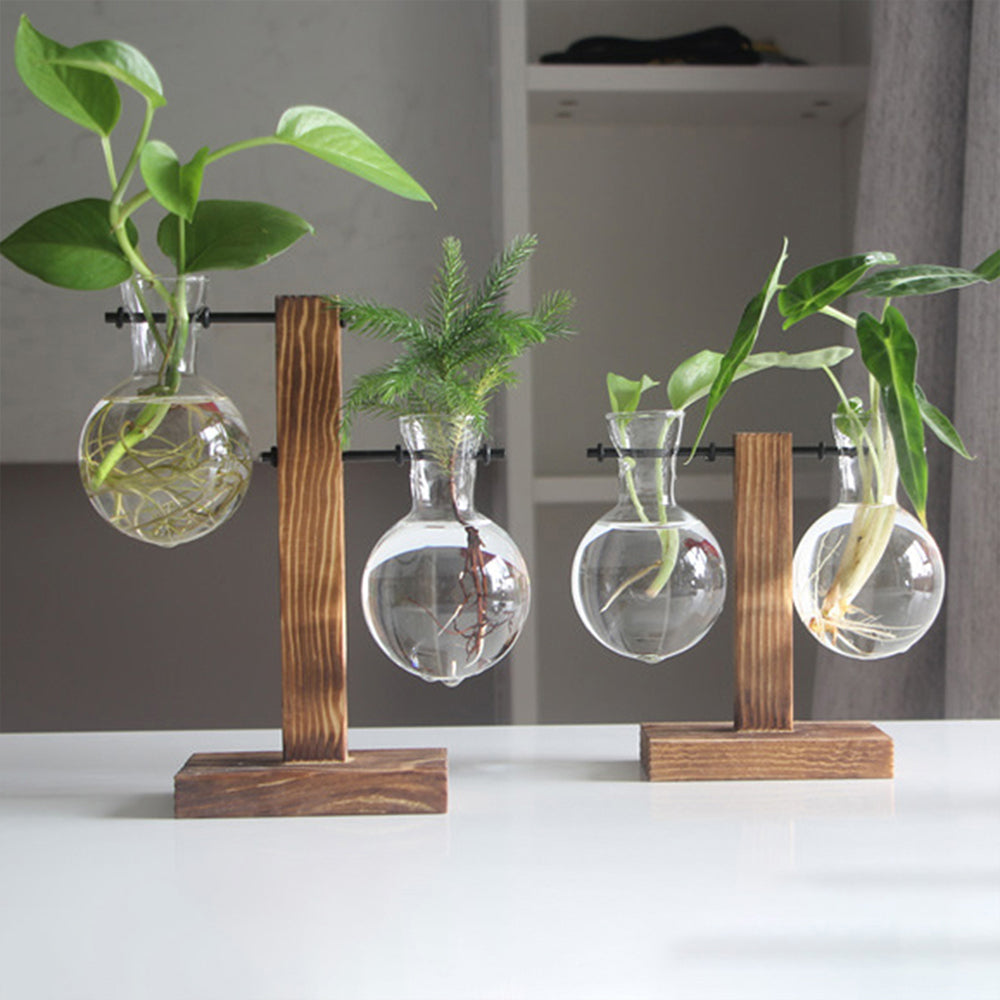 Creative Glass Bulb Planter Vase with Wooden Stand – Hydroponic Tabletop Decor