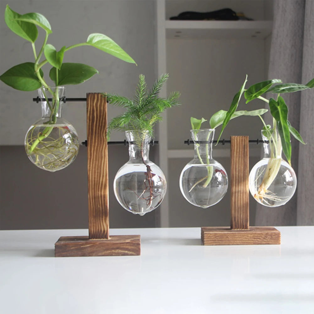Creative Glass Bulb Planter Vase with Wooden Stand – Hydroponic Tabletop Decor